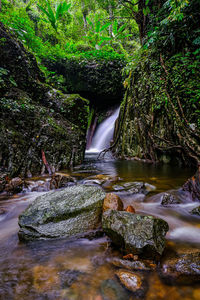 Stream flowing through rocks in forest