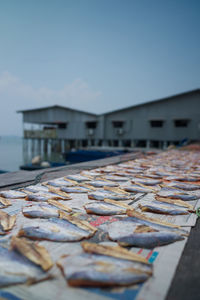 Dry fish tradition