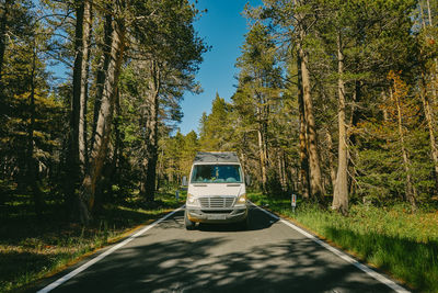 Car on road amidst trees in forest