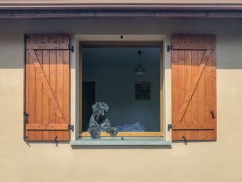 Statue outside house window