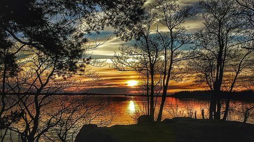 Silhouette of bare trees in lake during sunset