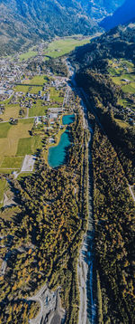 High angle view of river amidst trees