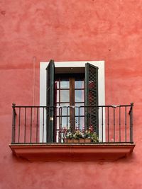 Low angle view of potted plant on window of building