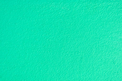 Macro shot of green surface