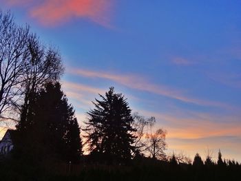 Silhouette of trees at sunset