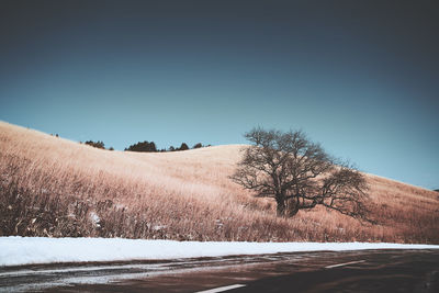 Scenic view of snow covered field against clear sky