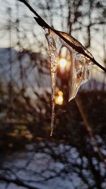 Close-up of illuminated light bulb hanging on snow