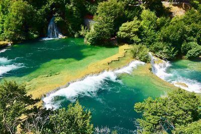 Scenic view of waterfall in forest