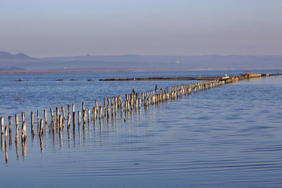 The landscape of a salt lake in a seaside resort. 