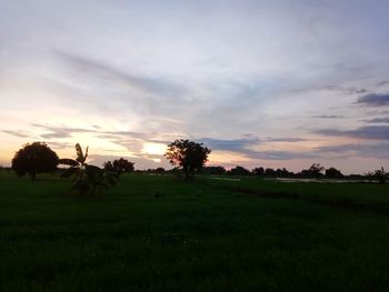 Scenic view of field against sky during sunset