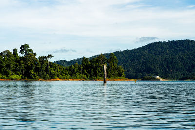 Kenyir lake small islands with beautiful rainforest tropical jungle. scenic landscape view.