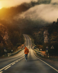 Rear view of man walking on road in city