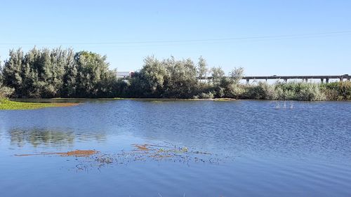 Scenic view of lake against clear sky