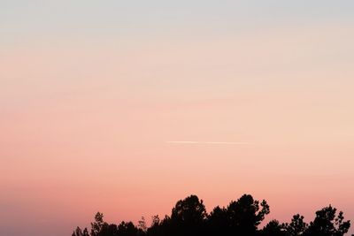 Silhouette trees against clear sky during sunset