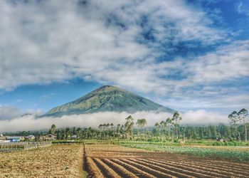 Scenic view of landscape against cloudy sky