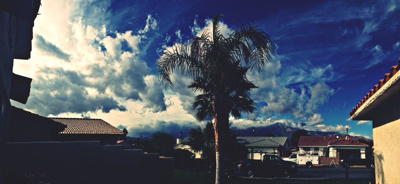 building exterior, architecture, built structure, sky, low angle view, tree, house, cloud - sky, palm tree, residential structure, residential building, silhouette, cloud, building, outdoors, no people, cloudy, sunlight, nature, blue