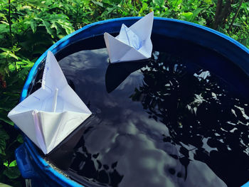 Close-up of paper floating on water