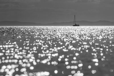 Seagulls flying over sea