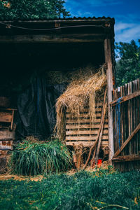 Stack of hay bales in farm