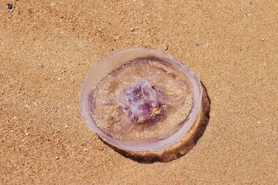 High angle view of water on beach