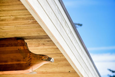 Low angle view of bird on wood against sky