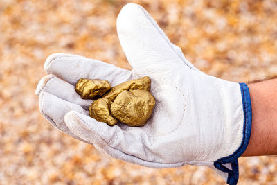 Close-up of hand holding bread