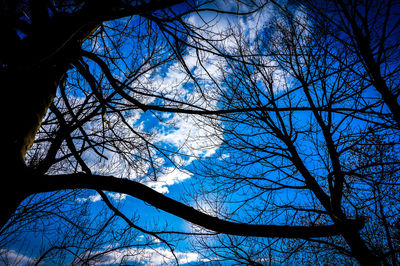 Low angle view of bare trees against sky