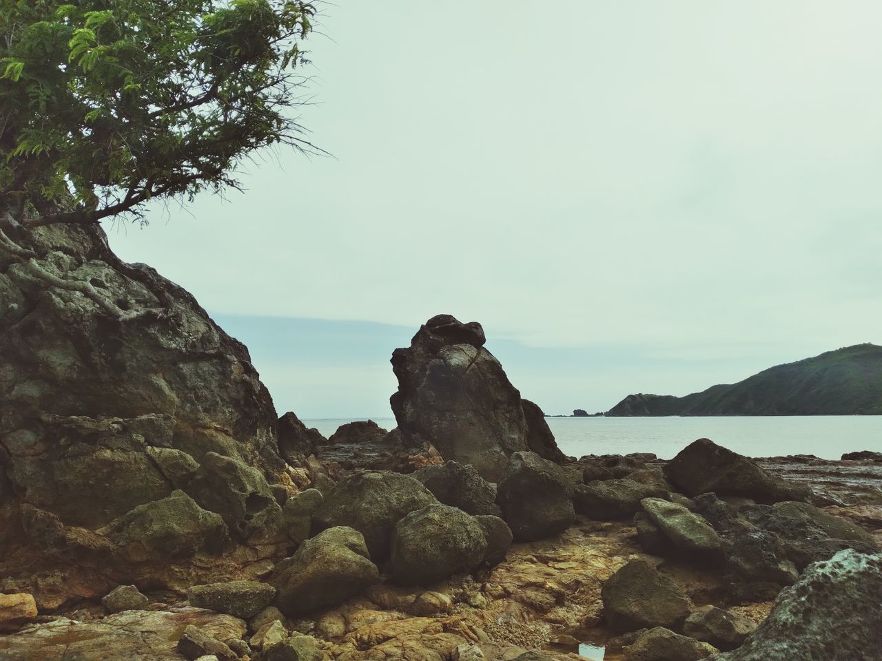 rock, sky, sea, nature, beauty in nature, coast, land, scenics - nature, water, tranquility, beach, rock formation, tranquil scene, no people, environment, ocean, mountain, non-urban scene, terrain, landscape, cliff, outdoors, travel destinations, cloud, tree, shore, plant, day, travel, bay, idyllic, geology