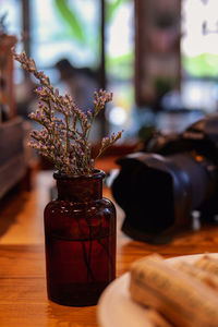 Close-up of potted plant on table