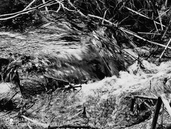 High angle view of river flowing in forest