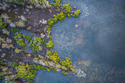 High angle view of sea