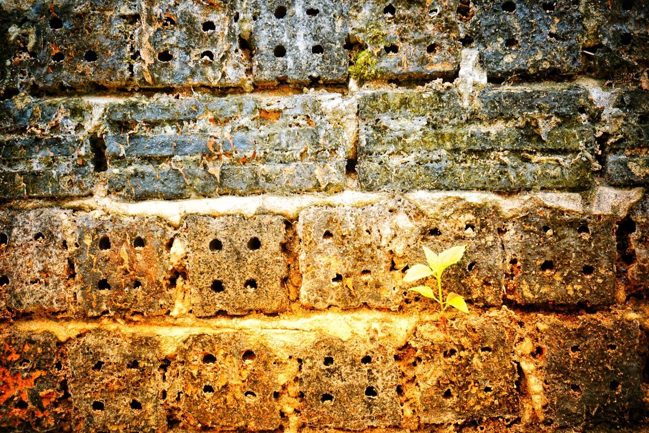 wall - building feature, brick wall, textured, rough, no people, day, close-up, full frame, outdoors, built structure, architecture, backgrounds