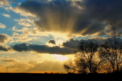 Silhouette of trees against dramatic sky