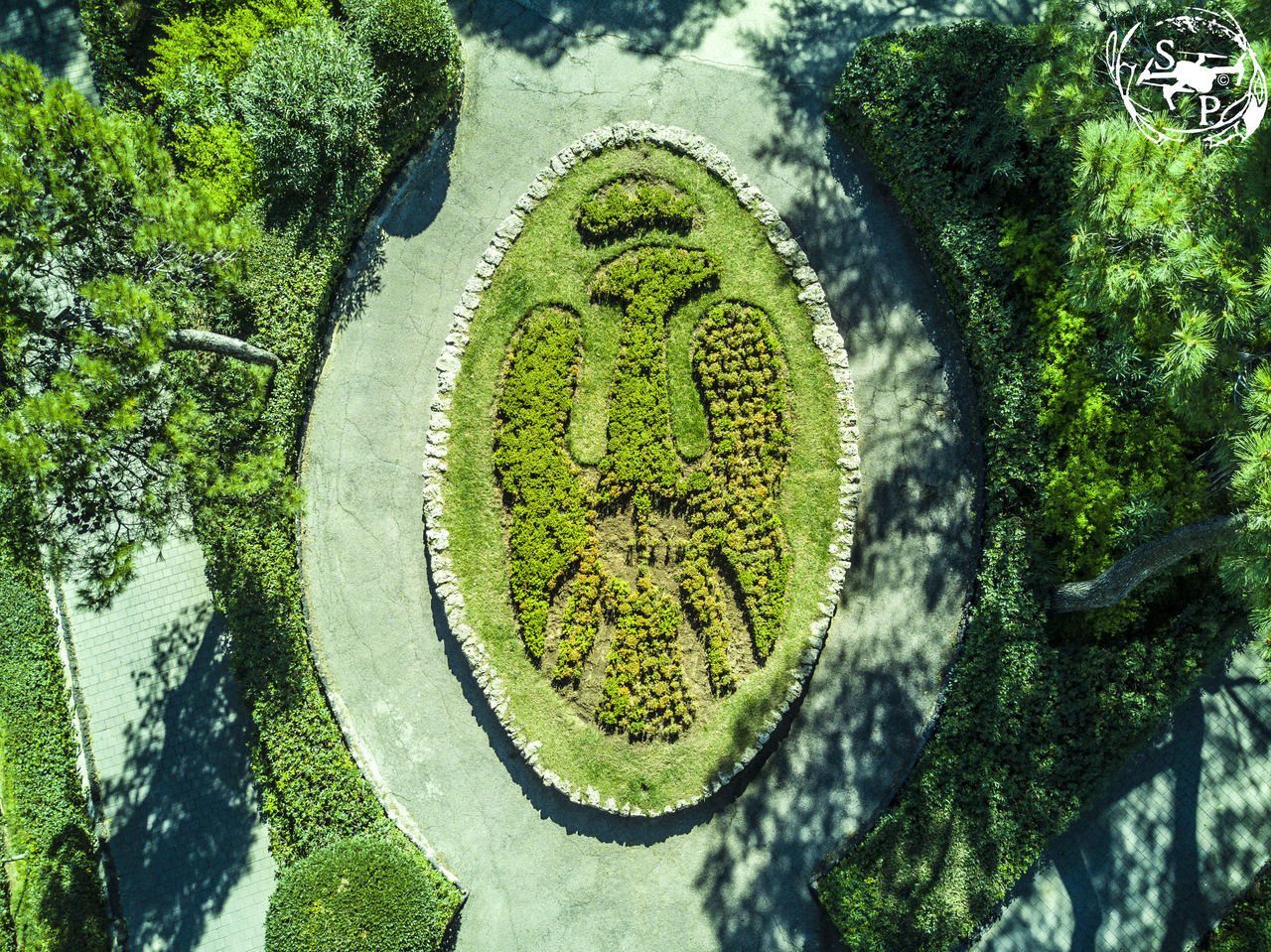 HIGH ANGLE VIEW OF LEAF