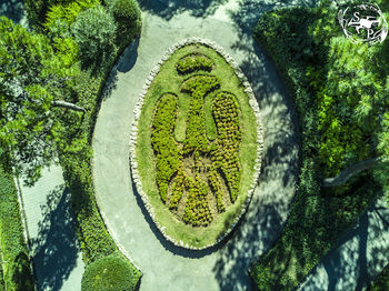 Close-up high angle view of leaf