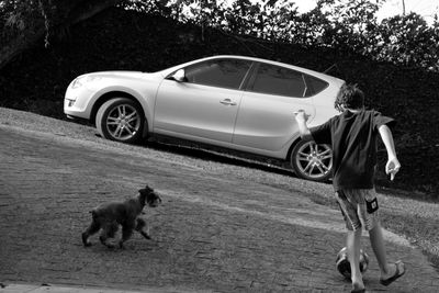 Side view of a dog walking on road