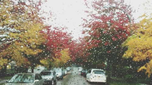 Car on rainy day