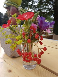Close-up of pink flowers in vase