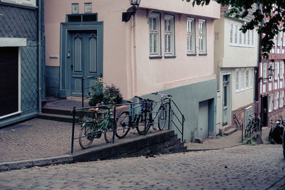 Potted plants on alley amidst buildings in city