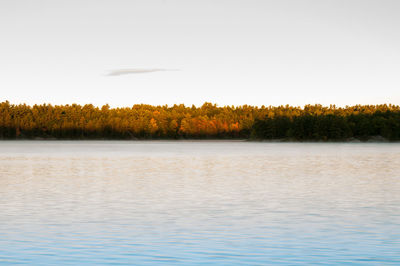 Scenic view of lake by trees against sky