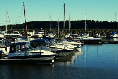 Boats moored at harbor