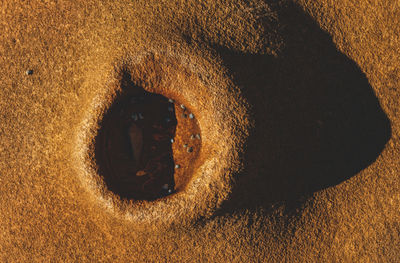 Close-up of cat on sand