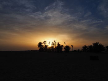 Silhouette trees on field against sky during sunset