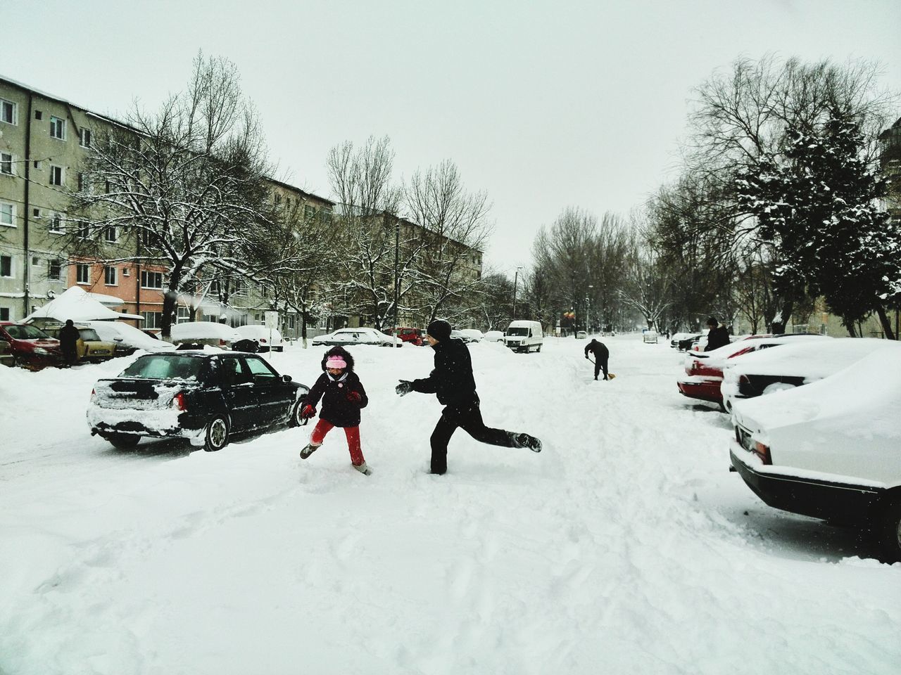 snow, winter, cold temperature, season, weather, tree, lifestyles, leisure activity, covering, transportation, men, land vehicle, mode of transport, white color, clear sky, frozen, bare tree, walking, day