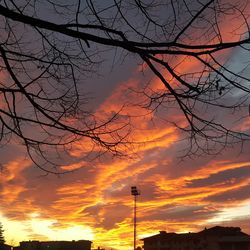 Low angle view of silhouette bare tree against orange sky