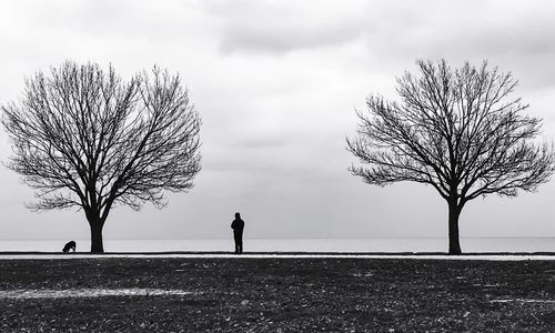 Silhouette people walking on bare tree against sky