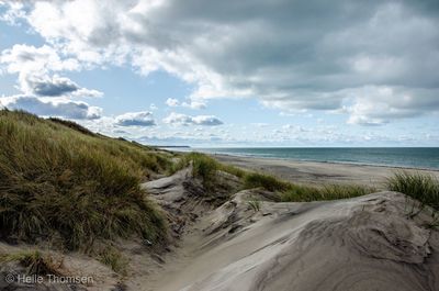 Scenic view of beach against sky