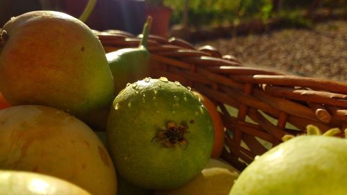 Close-up of fruits in basket