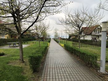 Footpath amidst trees and buildings against sky