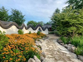 Footpath amidst plants and rocks against sky